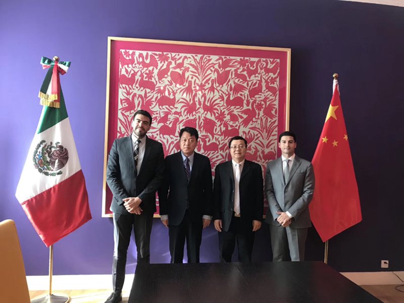 会议策划:让每一次相聚都绽放光彩
